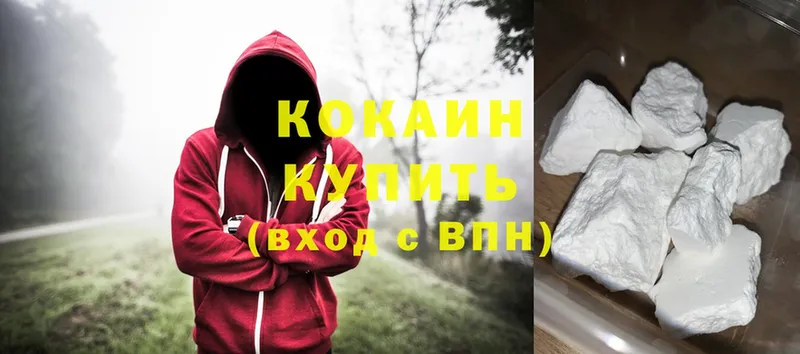 где купить наркоту  KRAKEN ССЫЛКА  Cocaine FishScale  Губкинский 